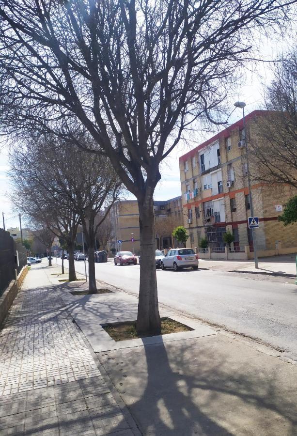 El Escondite De Lu Jerez de la Frontera Dış mekan fotoğraf